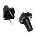 TACT SWITCH 6*6*10 2PIN DIP تکت سوییچ